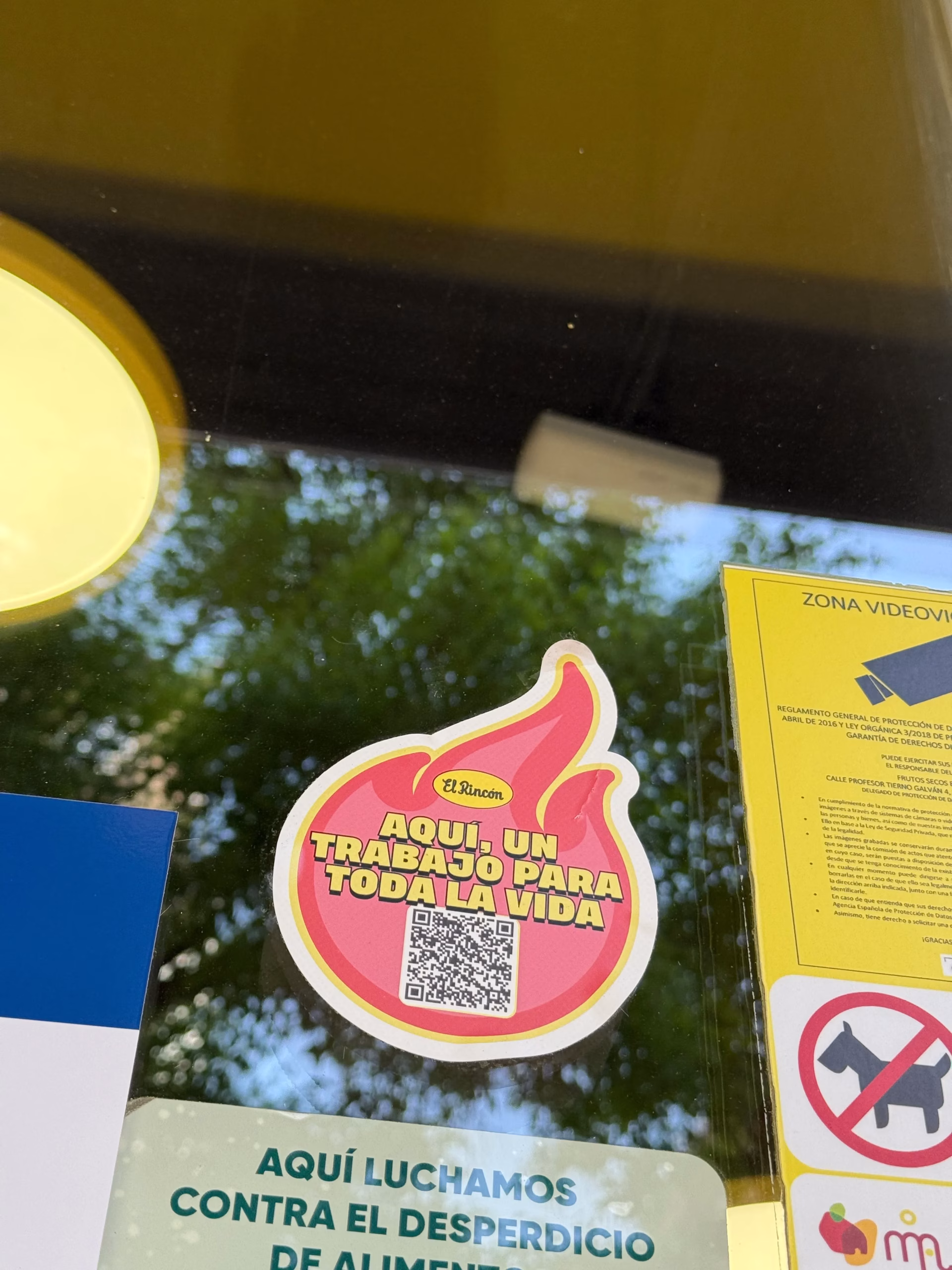 campaña el rincon un match el señor wom (1)