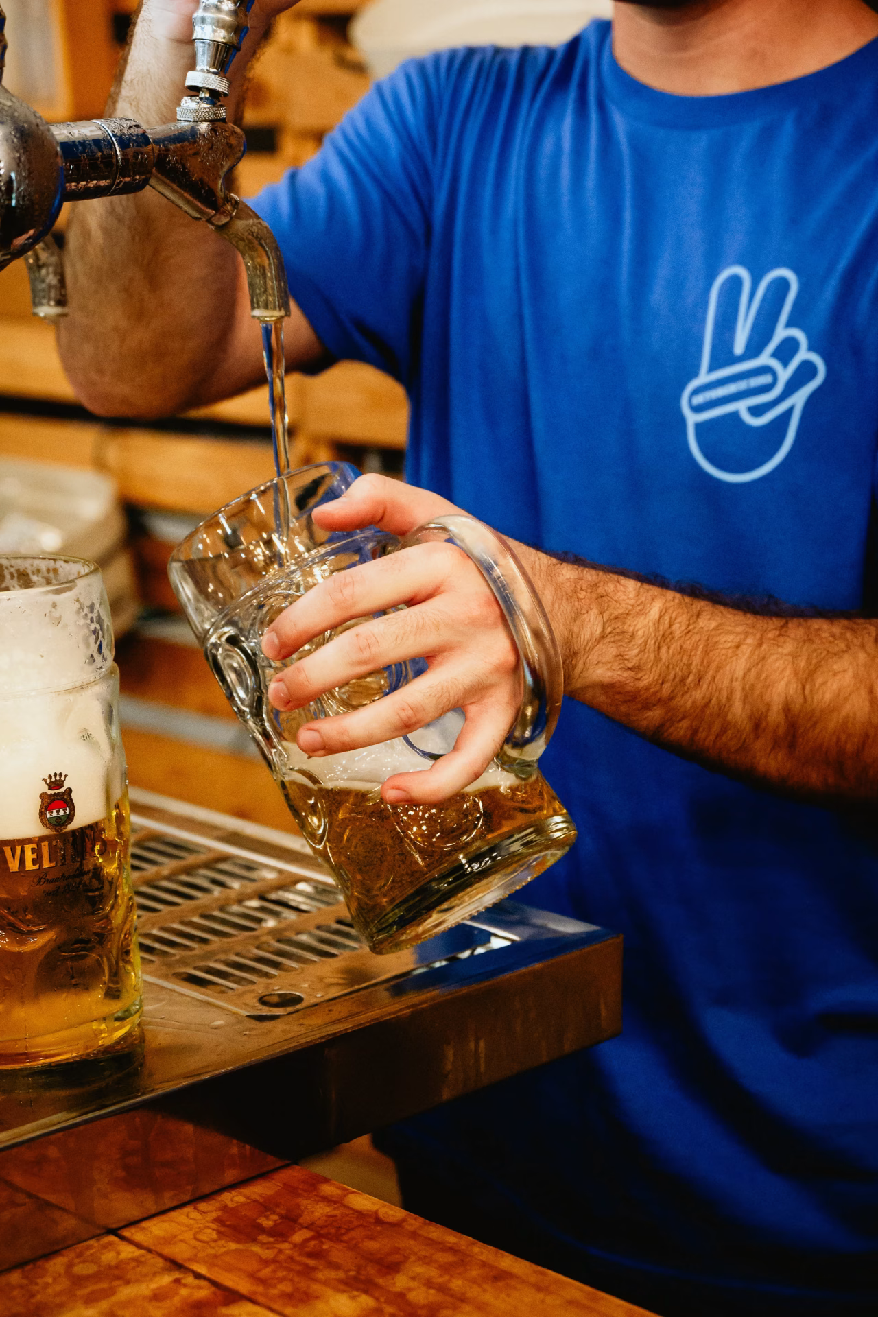 OKTOBERFEST VALDESPARTERA 2026 (2)